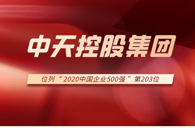 东升国际集团列2020中国企业500强第203位！